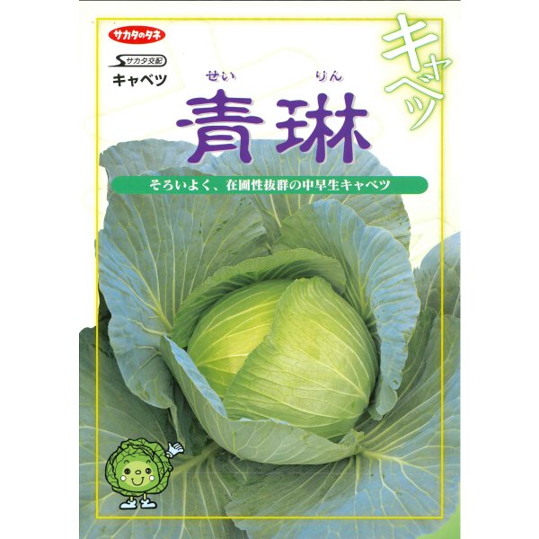 画像2: 送料無料 [キャベツ] 青琳 2000粒 （株）サカタのタネ (2)