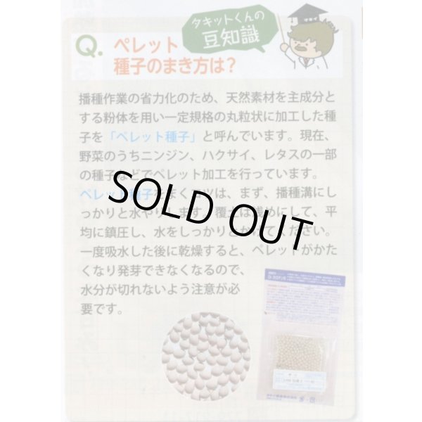 画像4: 送料無料　[キャベツ]　彩音　ペレット種子5000粒　　タキイ種苗(株) (4)