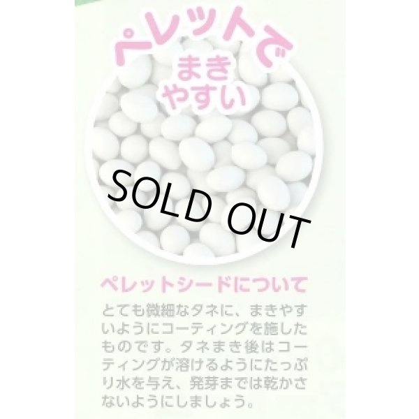 画像3: [白菜] タイニーシュシュ ペレット5000粒 （株）サカタのタネ (3)