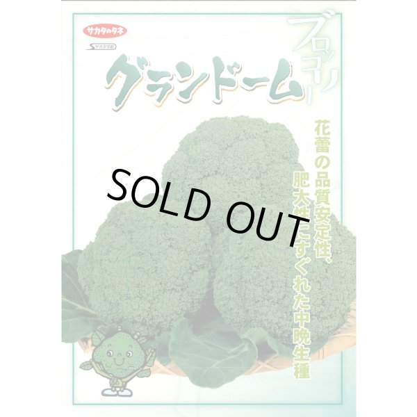 画像3: 送料無料 [ブロッコリー] グランドーム ペレット種子 5000粒 (株)サカタのタネ (3)