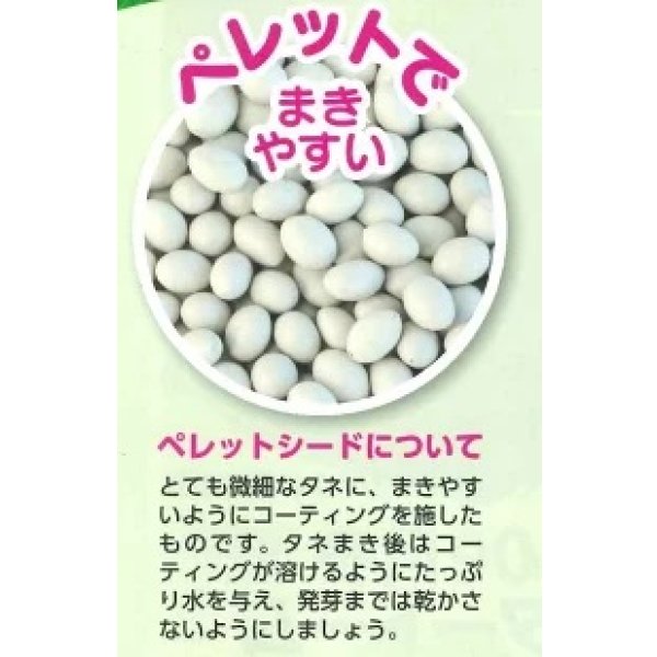 画像3: 送料無料　[人参]　ベーターリッチ　ペレット　約350粒　(株)サカタのタネ　実咲450（003107） (3)