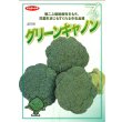 画像2: 送料無料 [ブロッコリー] グリーンキャノン 2000粒 (株)サカタのタネ (2)