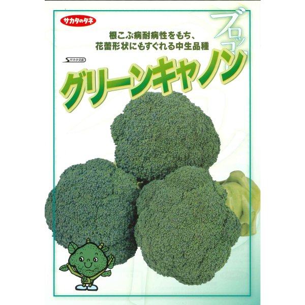画像2: [ブロッコリー] グリーンキャノン 2000粒 (株)サカタのタネ (2)