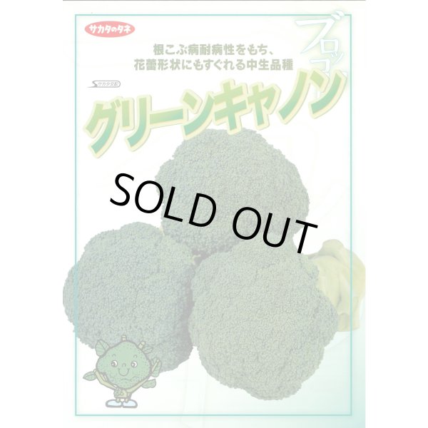 画像2: 送料無料 [ブロッコリー] グリーンキャノン 2000粒 (株)サカタのタネ (2)