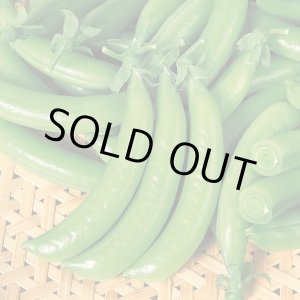 画像: 送料無料　[えんどう]　つるなし　スナック2号　1L　(株)サカタのタネ