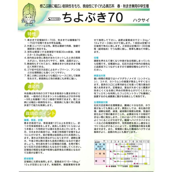 画像2: [白菜] ちよぶき70 20ml （株）サカタのタネ (2)