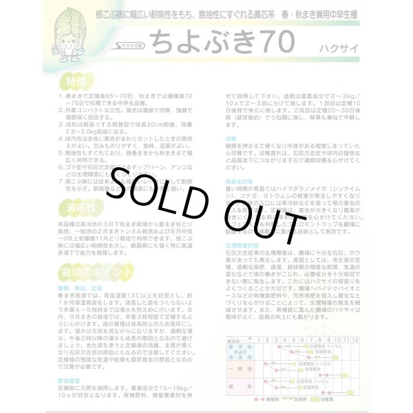 画像4: 送料無料　[白菜]　ちよぶき70　約110粒　（株）サカタのタネ　実咲450（003426） (4)