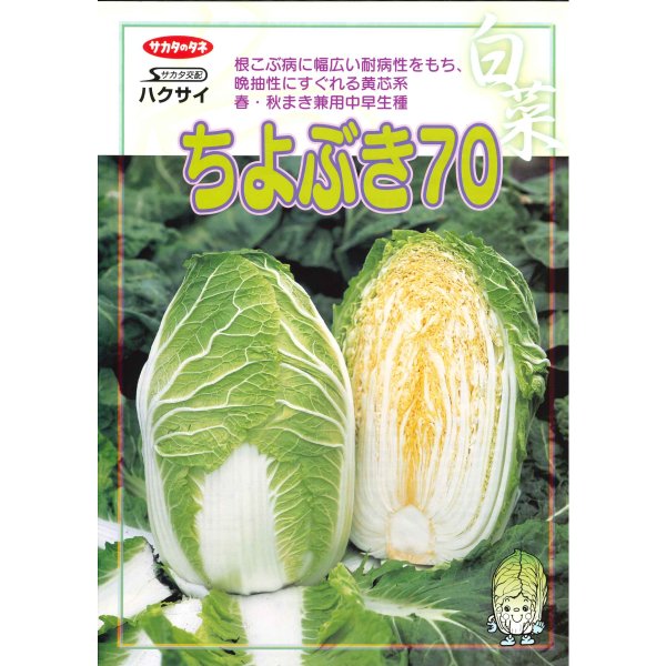 画像5: [白菜] ちよぶき70 20ml （株）サカタのタネ (5)