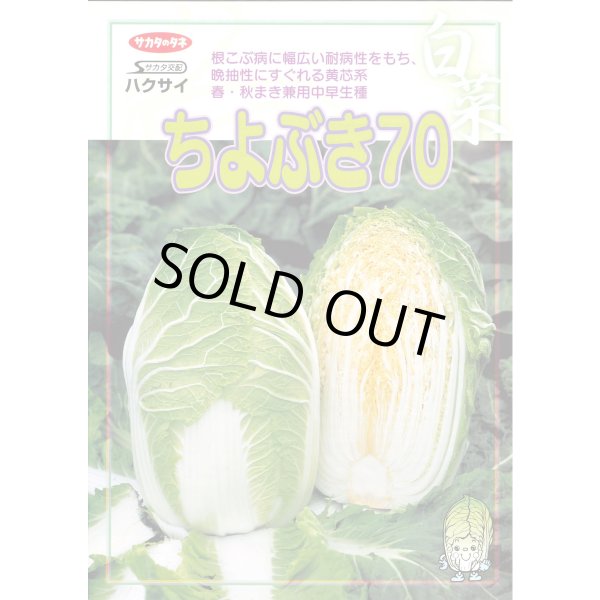 画像5: 送料無料 [白菜] ちよぶき70 20ml （株）サカタのタネ (5)