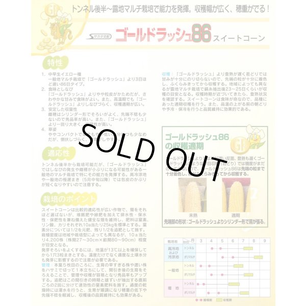 画像7: 送料無料 [とうもろこし] ゴールドラッシュ86 200粒 (株)サカタのタネ (7)