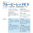 画像5: 送料無料　[ピーマン]　カラーピーマン　フルーピーレッドEX　27粒　タキイ種苗(株)　DF (5)