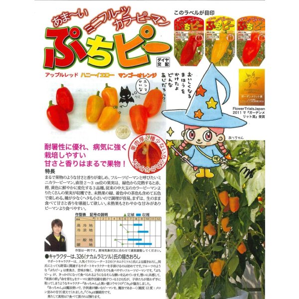 画像2: 送料無料　[ピーマン]　ぷちピープロ　イエロー73　10粒　トキタ種苗(株) (2)