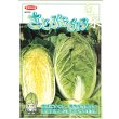 画像5: 送料無料 白菜 さとぶき613 20ml （株）サカタのタネ (5)