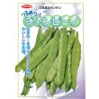 画像2: 送料無料 [いんげん] つるあり ジャンビーノ菜豆 1dl (株)サカタのタネ (2)