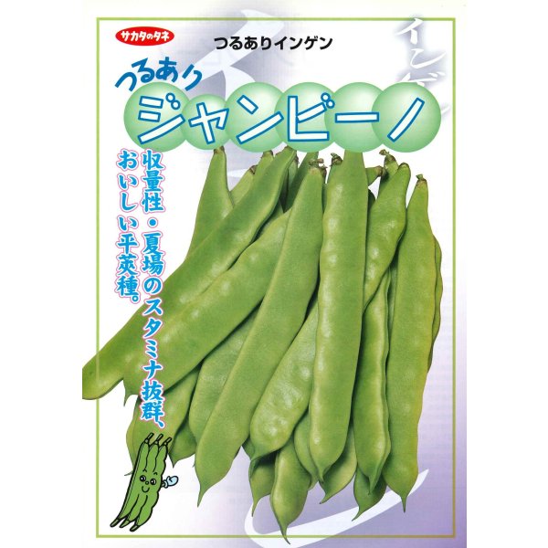 画像2: 送料無料 [いんげん] つるあり ジャンビーノ菜豆 1dl (株)サカタのタネ (2)