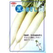 画像3: 送料無料 [大根] 夏のきざし 20ml サカタ交配 (3)