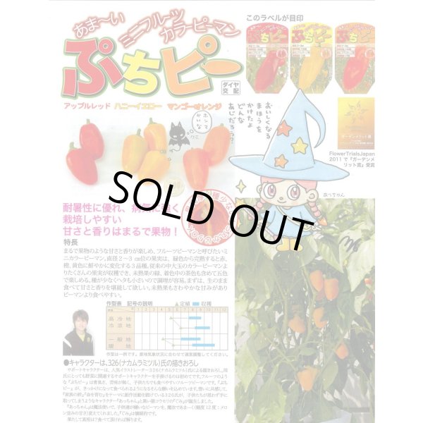 画像2: 送料無料　[ピーマン]　ぷちピープロ　レッド　100粒　トキタ種苗(株) (2)