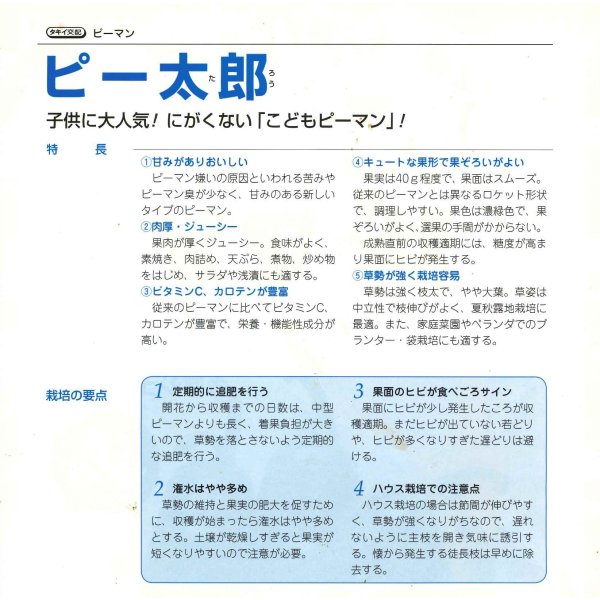 画像2: 送料無料 [ピーマン] こどもピーマン ピー太郎 500粒 タキイ種苗(株) (2)