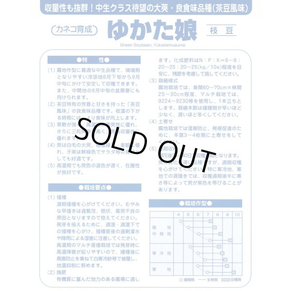 画像3: [枝豆]　ゆかた娘　2000粒　カネコ種苗（株） (3)