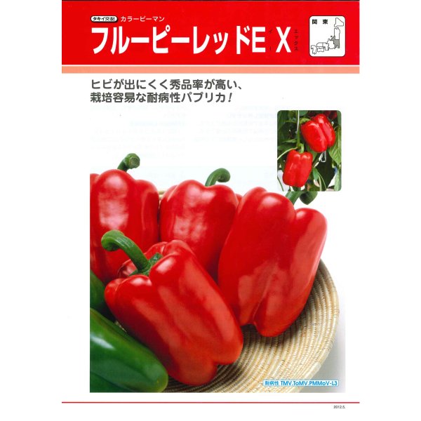 画像4: 送料無料　[ピーマン]　カラーピーマン　フルーピーレッドEX　500粒　レッド　タキイ種苗(株) (4)