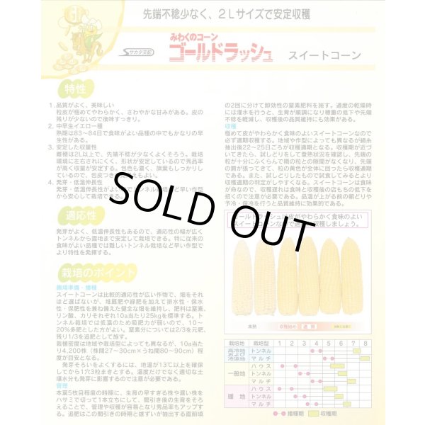 画像2: 送料無料 [とうもろこし] ゴールドラッシュ 200粒 (株)サカタのタネ (2)
