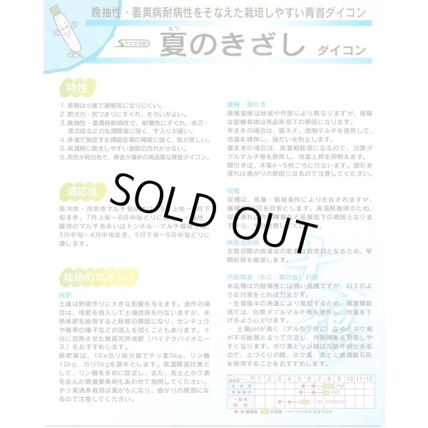 画像5: [大根] 夏のきざし ペレット種子 5000粒 サカタ交配 (5)