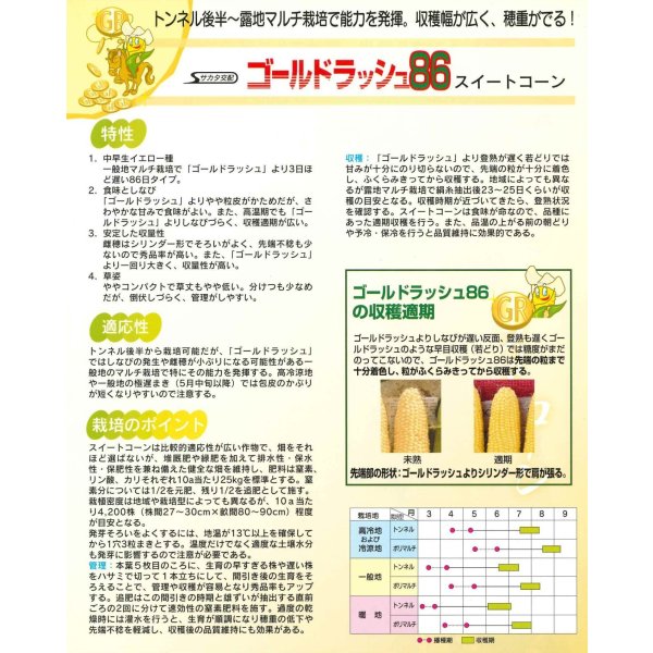 画像6: [とうもろこし] ゴールドラッシュ86 2000粒 (株)サカタのタネ (6)