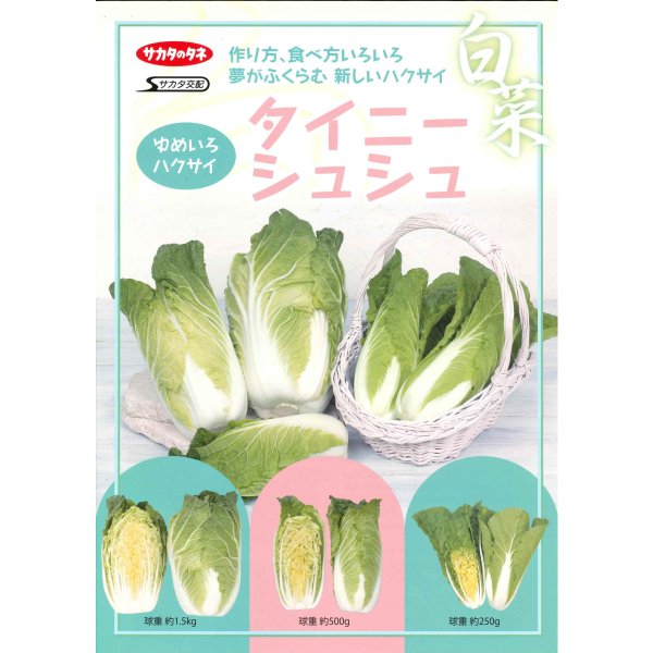 画像2: 送料無料　[白菜]　タイニーシュシュ　約300粒　(株)サカタのタネ　実咲450（003430） (2)