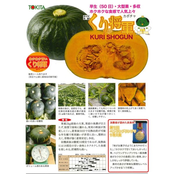 画像2: 送料無料　[かぼちゃ]　くり将軍　500粒　トキタ種苗(株) (2)