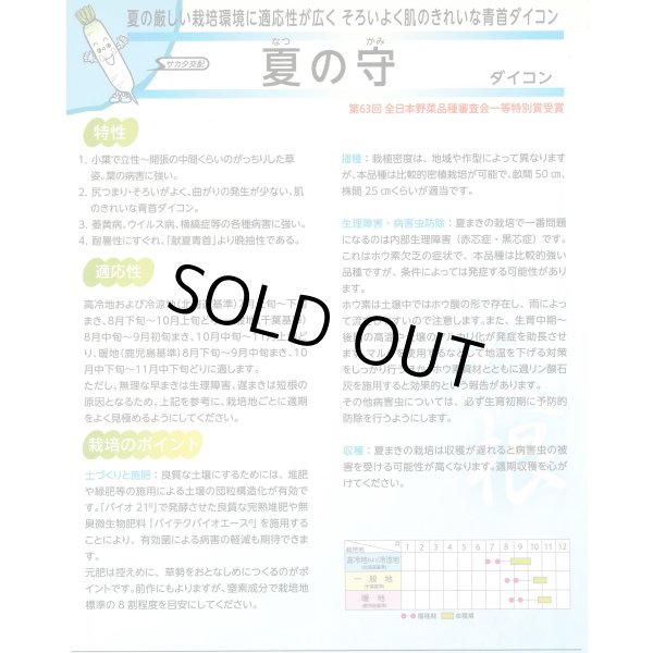 画像6: 送料無料 [大根] 夏の守 800粒 (株)サカタのタネ (6)