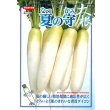画像4: 送料無料 [大根] 夏の守 8000粒 (株)サカタのタネ (4)