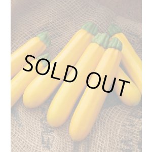 画像: 送料無料　[ズッキーニ]　オーラムEX　100粒　タキイ種苗（株）