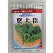 画像1: 送料無料 [大根] 葉ダイコン 葉大臣 2dl (株)サカタのタネ (1)