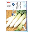 画像4: 送料無料　[大根]　冬しぐれ　(約150粒)　(株)サカタのタネ　実咲450（003955） (4)