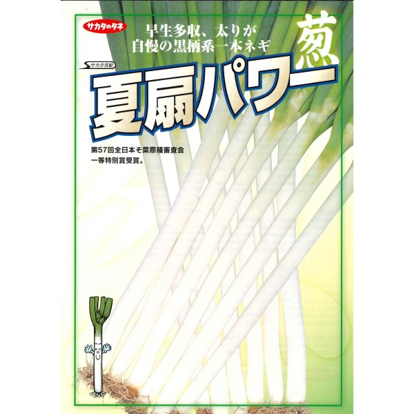 画像6: 送料無料 [ねぎ] 夏扇パワー ペレット種子 6000粒 (株)サカタのタネ (6)