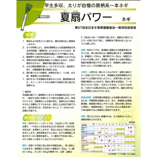 画像7: 送料無料 [ねぎ] 夏扇パワー ペレット種子 6000粒 (株)サカタのタネ (7)