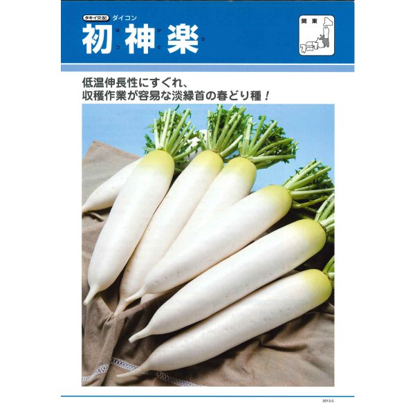 画像4: 大根 初神楽 3.5ml タキイ種苗(株) DF (4)