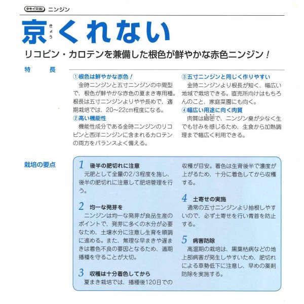 画像5: [人参] 京くれないEX ペレット種子1万粒 タキイ種苗(株) (5)