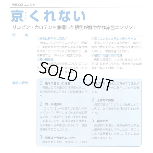 画像5: [人参] 送料無料 京くれないEX ペレット種子1万粒 タキイ種苗(株) (5)