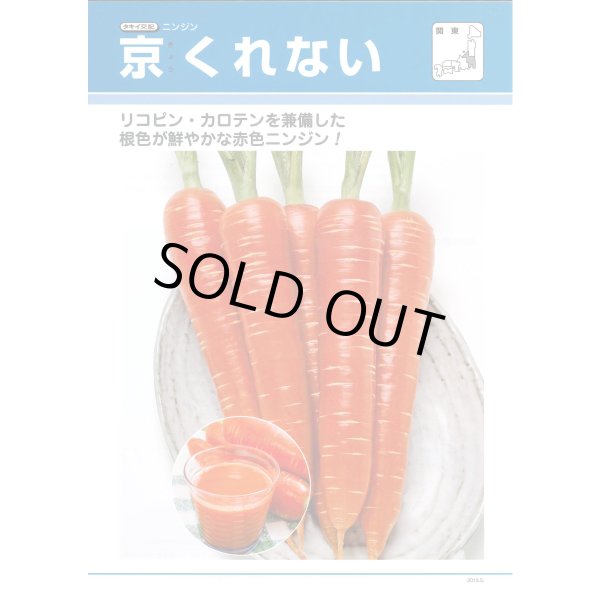 画像4: 送料無料 [人参] 京くれないEX ペレット種子200粒 タキイ種苗(株) (4)