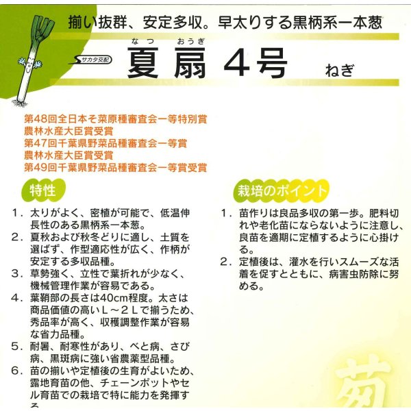 画像6: 送料無料 [ねぎ] 夏扇4号 20ml (裸種子) (株)サカタのタネ (6)