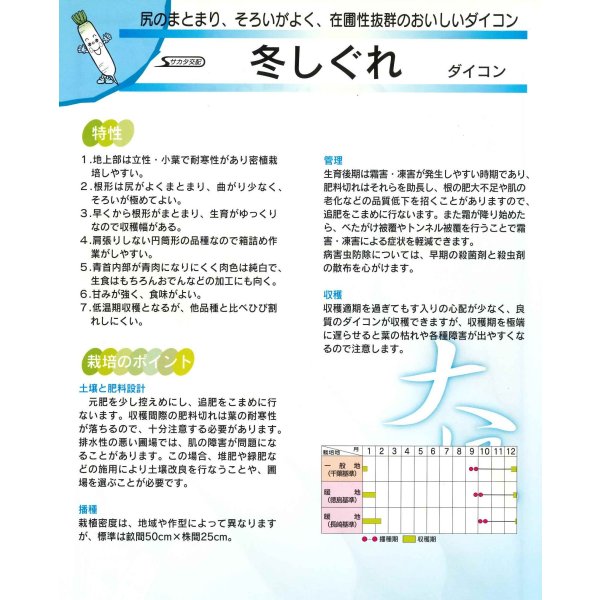 画像5: [大根] 冬しぐれ (約150粒) (株)サカタのタネ 実咲450(003955) (5)