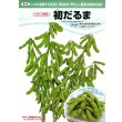 画像4: [枝豆]　初だるま　1000粒　カネコ種苗（株） (4)