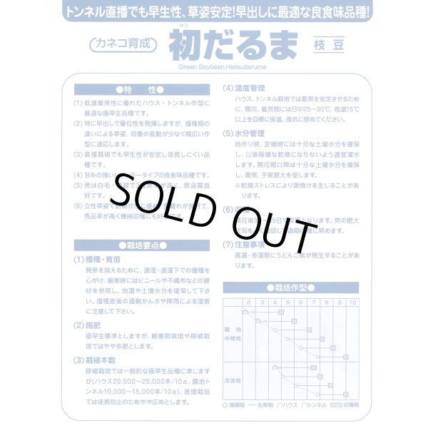 画像5: 送料無料　[枝豆]　初だるま　100粒　カネコ種苗（株） (5)