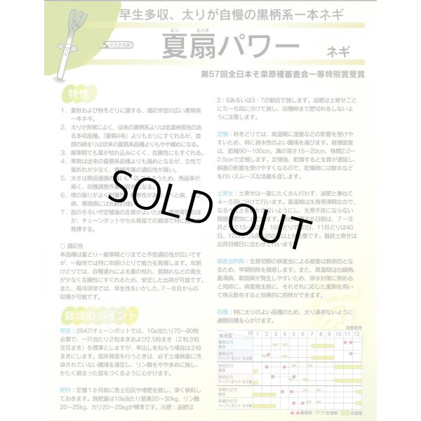 画像5: 送料無料　[ねぎ]　夏扇パワー　3ml(粒数目安およそ500粒)　(株)サカタのタネ　実咲450（101526） (5)