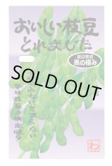 画像: 送料無料　[枝豆]　　おいしい枝豆とれました（黒の極み）　1dl　(およそ180粒)　渡辺農事（株）