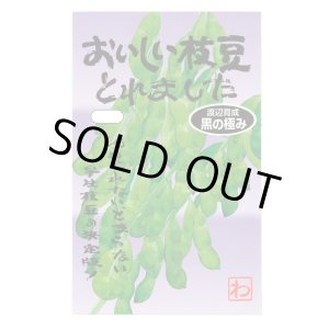 画像: 送料無料　[枝豆]　　おいしい枝豆とれました（黒の極み）　1dl　(およそ180粒)　渡辺農事（株）