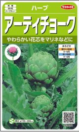 画像: 送料無料　[ハーブの種]　　アーティチョーク　17粒　(株)サカタのタネ　実咲（003192）