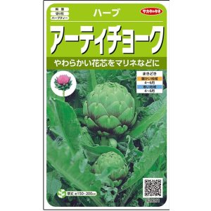 画像: 送料無料　[ハーブの種]　　アーティチョーク　17粒　(株)サカタのタネ　実咲（003192）