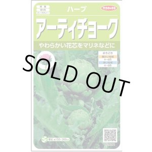 画像: 送料無料　[ハーブの種]　　アーティチョーク　17粒　(株)サカタのタネ　実咲（003192）